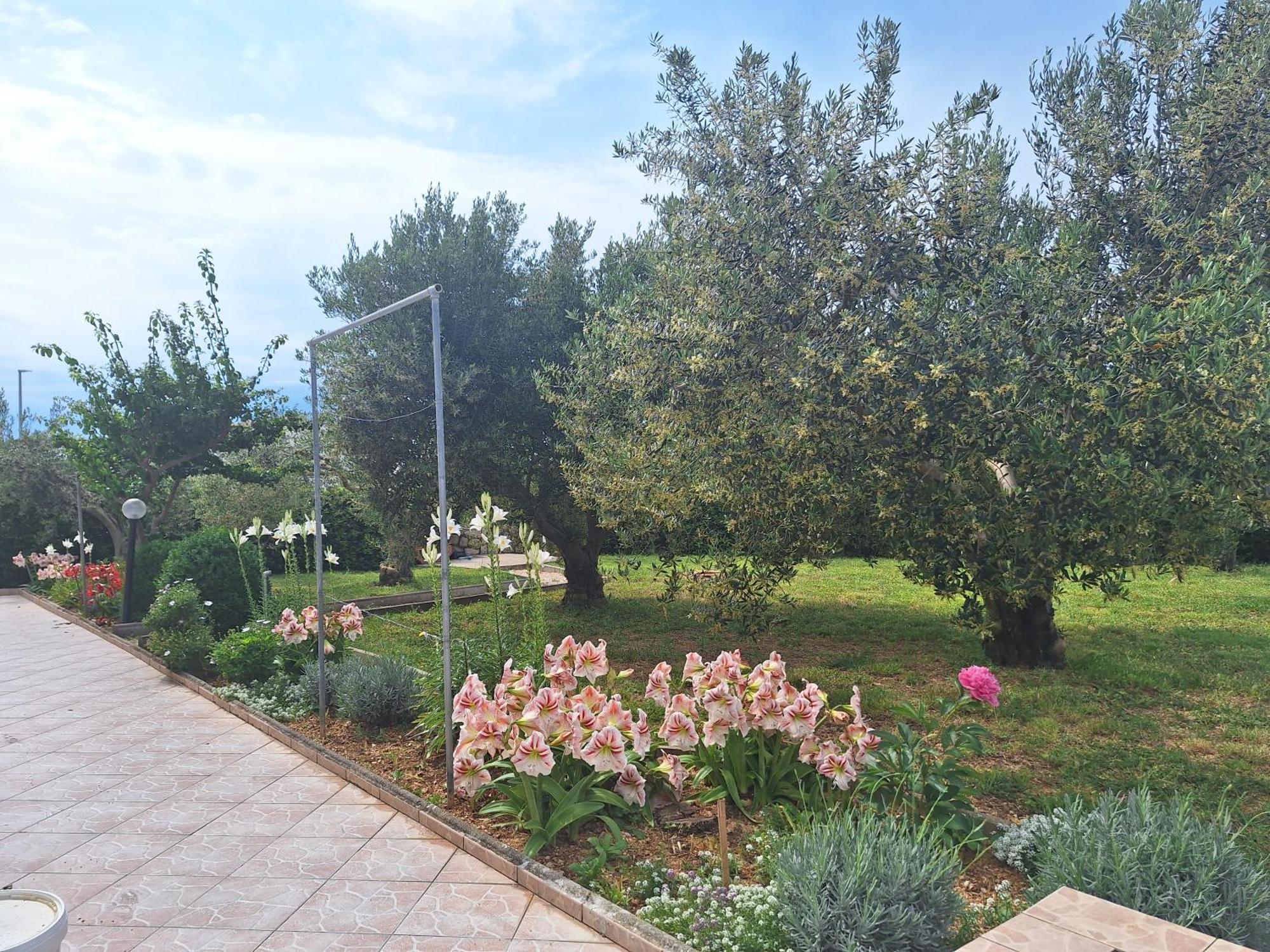 Apartments Donadic I, Caska Novalja Exterior photo